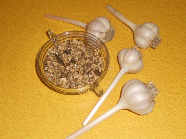 Another Local Option