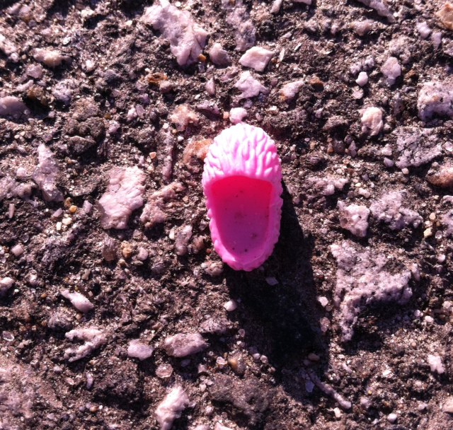 Pink Plastic Slipper