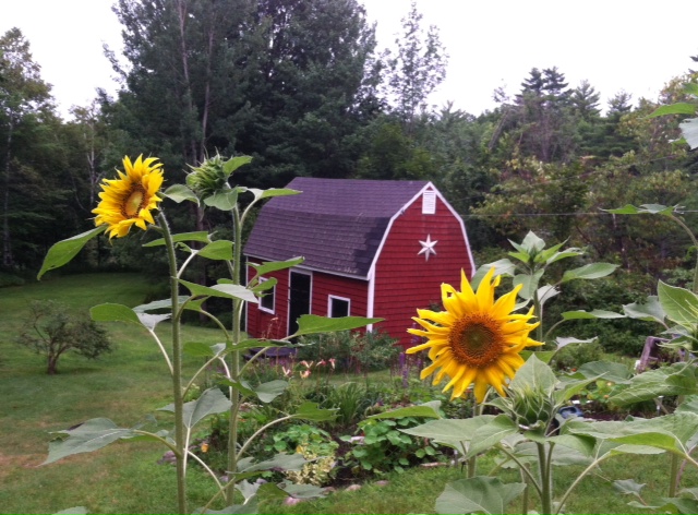 Today, August 14, 2014