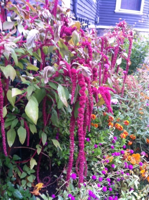 Love Lies Bleeding