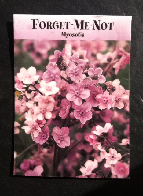Forget-Me-Not