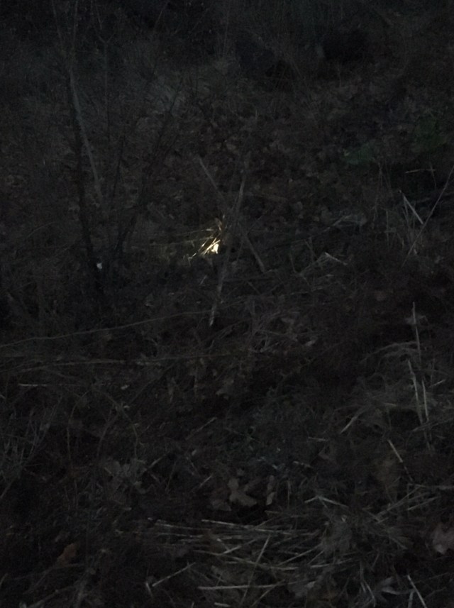 The Existential Light